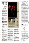 bergenstidende_del2-20080207_000_00_00_031.pdf