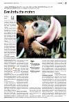 bergenstidende_del2-20080222_000_00_00_011.pdf