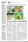 bergenstidende_del2-20080228_000_00_00_011.pdf