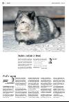 bergenstidende_del2-20080302_000_00_00_008.pdf