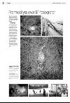 bergenstidende_del2-20080305_000_00_00_002.pdf