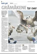 bergenstidende_del2-20080416_000_00_00_002.pdf