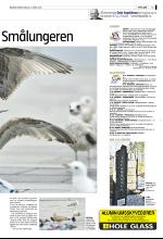 bergenstidende_del2-20080416_000_00_00_003.pdf