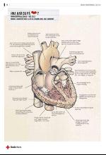 bergenstidende_del2-20080506_000_00_00_018.pdf