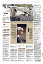 bergenstidende_del2-20080513_000_00_00_023.pdf