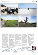 bergenstidende_del2-20080601_000_00_00_005.pdf
