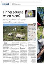 bergenstidende_del2-20080607_000_00_00_002.pdf