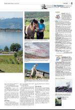bergenstidende_del2-20080610_000_00_00_003.pdf