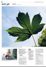 bergenstidende_del2-20080611_000_00_00_002.pdf
