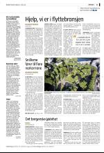 bergenstidende_del2-20080614_000_00_00_043.pdf