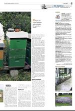 bergenstidende_del2-20080620_000_00_00_003.pdf