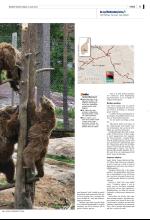 bergenstidende_del2-20080628_000_00_00_011.pdf