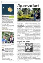 bergenstidende_del2-20080711_000_00_00_004.pdf