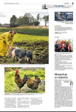bergenstidende_del2-20080719_000_00_00_003.pdf