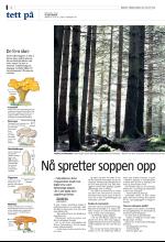 bergenstidende_del2-20080830_000_00_00_002.pdf