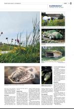 bergenstidende_del2-20080913_000_00_00_011.pdf