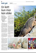 bergenstidende_del2-20080916_000_00_00_002.pdf