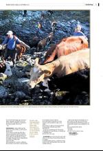 bergenstidende_del2-20080921_000_00_00_005.pdf