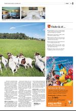 bergenstidende_del2-20081018_000_00_00_015.pdf