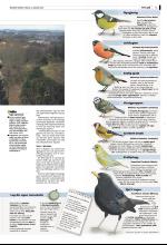 bergenstidende_del2-20090106_000_00_00_003.pdf