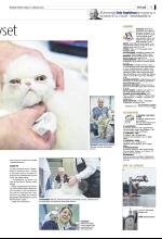bergenstidende_del2-20090215_000_00_00_005.pdf