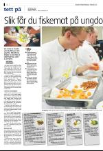bergenstidende_del2-20090220_000_00_00_002.pdf