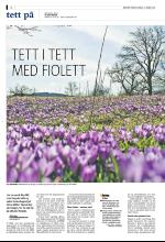 bergenstidende_del2-20090321_000_00_00_002.pdf