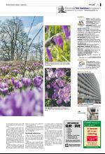 bergenstidende_del2-20090321_000_00_00_003.pdf