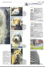 bergenstidende_del2-20090322_000_00_00_005.pdf