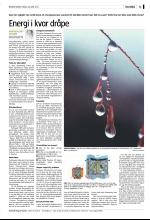 bergenstidende_del2-20090428_000_00_00_025.pdf