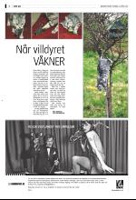 bergenstidende_del2-20090430_000_00_00_004.pdf