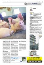 bergenstidende_del2-20090504_000_00_00_003.pdf