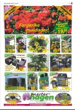 bergenstidende_del2-20090514_000_00_00_015.pdf