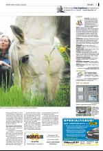 bergenstidende_del2-20090528_000_00_00_003.pdf