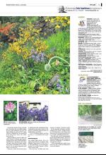 bergenstidende_del2-20090603_000_00_00_003.pdf