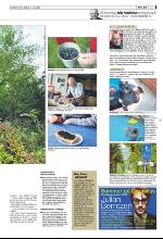 bergenstidende_del2-20090725_000_00_00_003.pdf