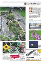 bergenstidende_del2-20090806_000_00_00_003.pdf