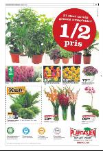 bergenstidende_del2-20090827_000_00_00_017.pdf
