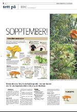 bergenstidende_del2-20090828_000_00_00_002.pdf