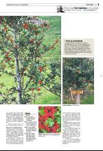 bergenstidende_del2-20091208_000_00_00_003.pdf