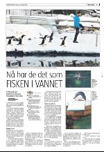 bergenstidende_del2-20100112_000_00_00_005.pdf