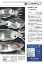 bergenstidende_del2-20100128_000_00_00_003.pdf