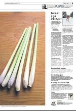 bergenstidende_del2-20100220_000_00_00_003.pdf