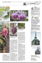 bergenstidende_del2-20100328_000_00_00_007.pdf