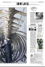 bergenstidende_del2-20100601_000_00_00_031.pdf