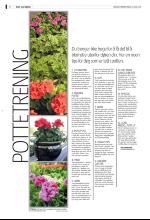 bergenstidende_husoghjem-20080516_000_00_00_006.pdf
