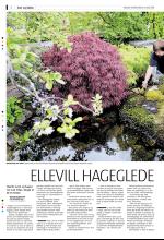 bergenstidende_husoghjem-20080523_000_00_00_002.pdf