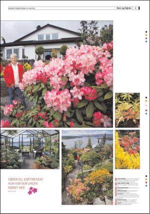 bergenstidende_husoghjem-20110610_000_00_00_003.pdf