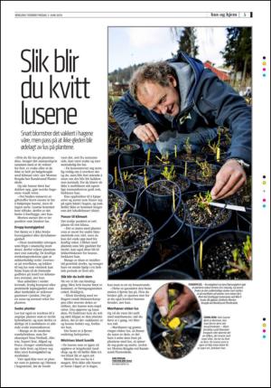 bergenstidende_husoghjem-20130607_000_00_00_005.pdf