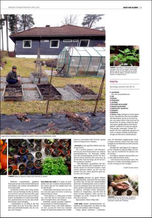 bergenstidende_husoghjem-20160429_000_00_00_003.pdf
